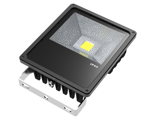 50W Flood light